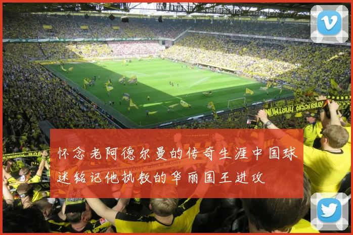 怀念老阿德尔曼的传奇生涯中国球迷铭记他执教的华丽国王进攻