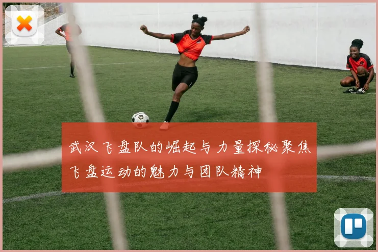 武汉飞盘队的崛起与力量探秘聚焦飞盘运动的魅力与团队精神