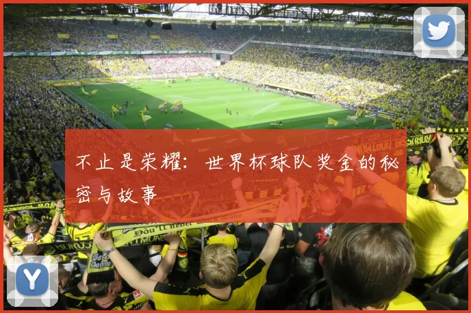 不止是荣耀：世界杯球队奖金的秘密与故事