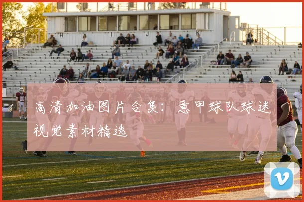 高清加油图片合集：意甲球队球迷视觉素材精选